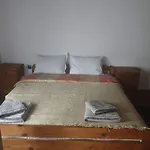 близнаците *
