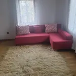 близнаците Лещен