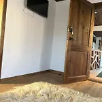 близнаците