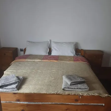 близнаците *