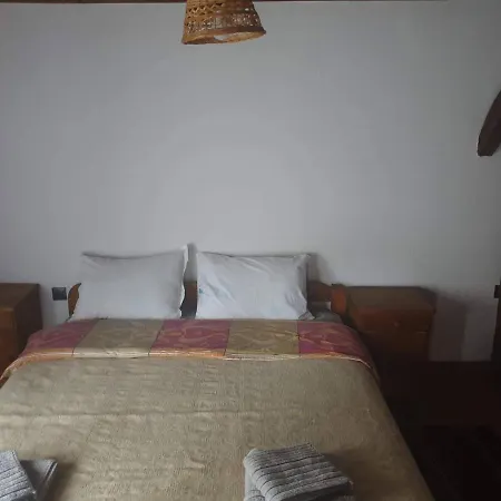 близнаците