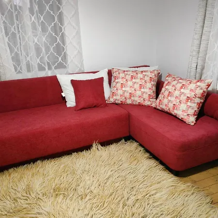 близнаците *