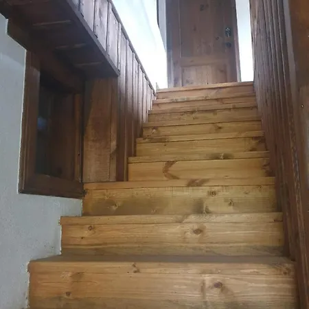 близнаците *