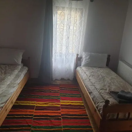 близнаците