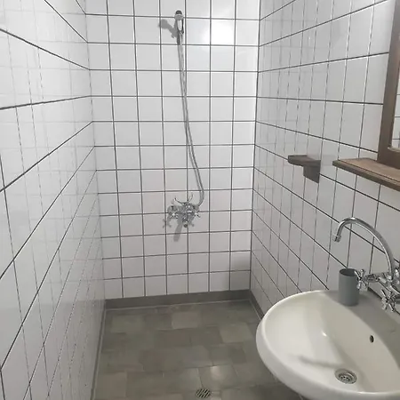 близнаците Leshten