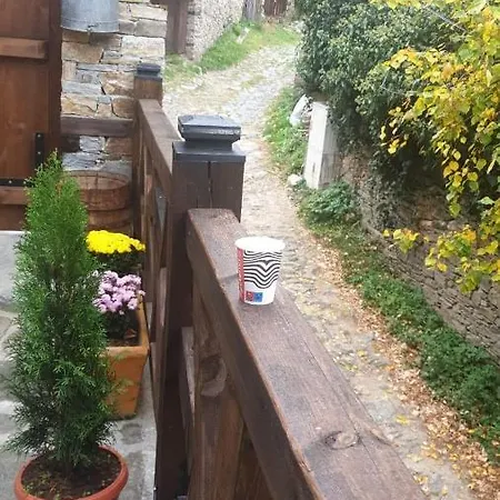 близнаците Apartmán