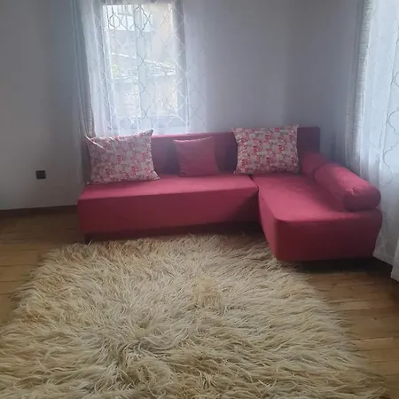 близнаците Leshten