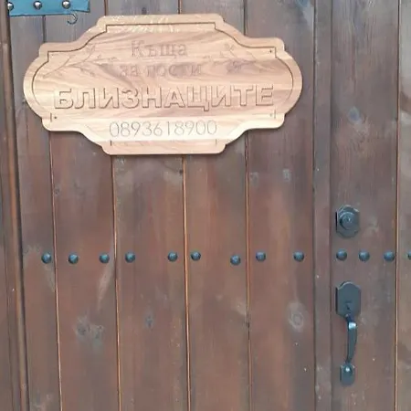 близнаците