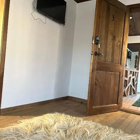 близнаците