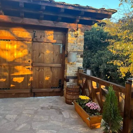 близнаците *