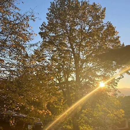 близнаците * Leshten