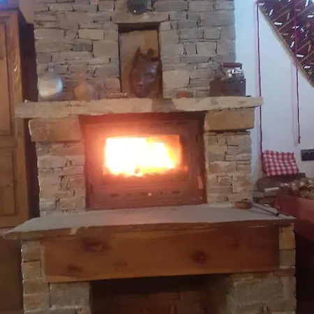 близнаците *