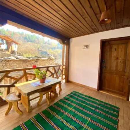 близнаците *