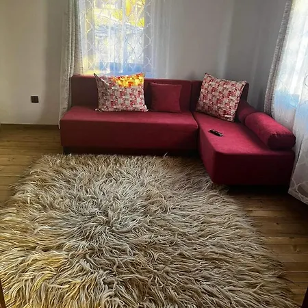 близнаците Lesten