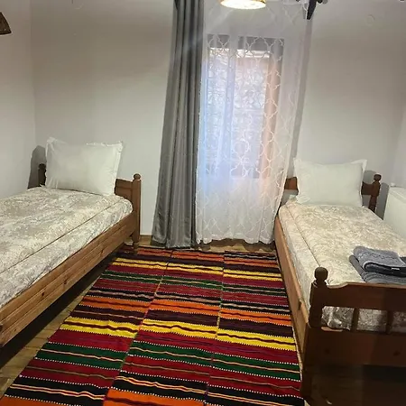 близнаците *