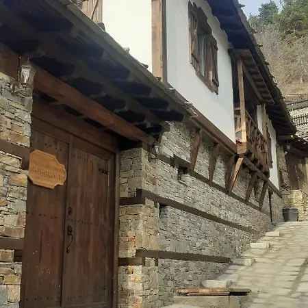 близнаците * Leshten