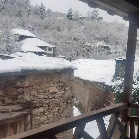 близнаците * Leshten