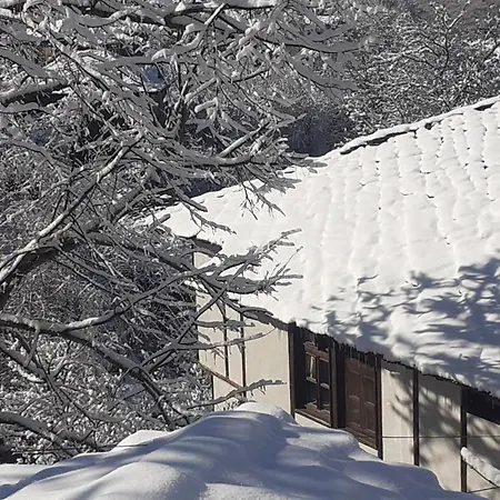 близнаците Leshten