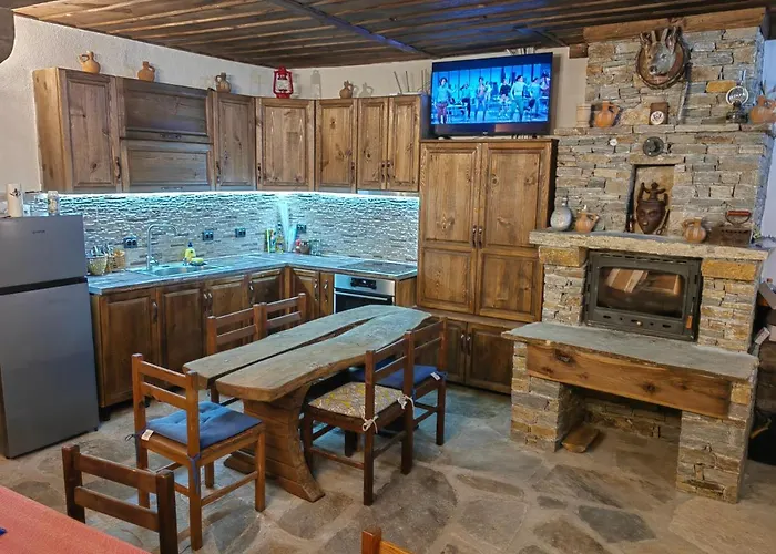 близнаците