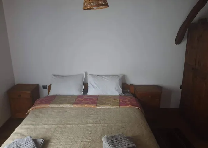 близнаците