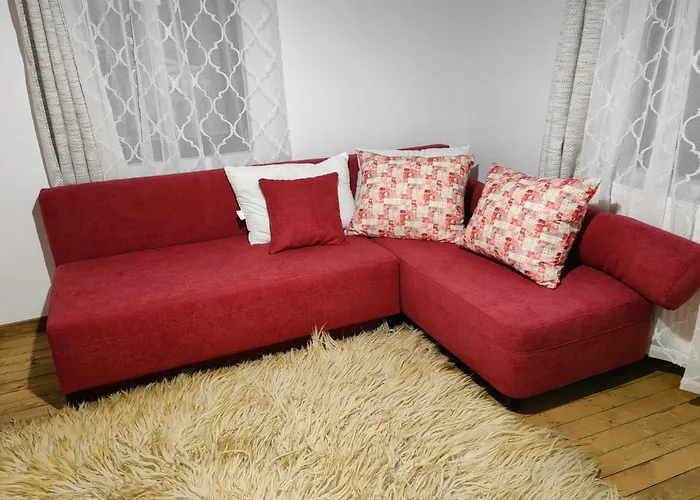 близнаците *