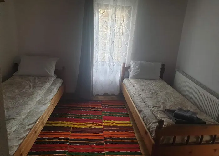 близнаците