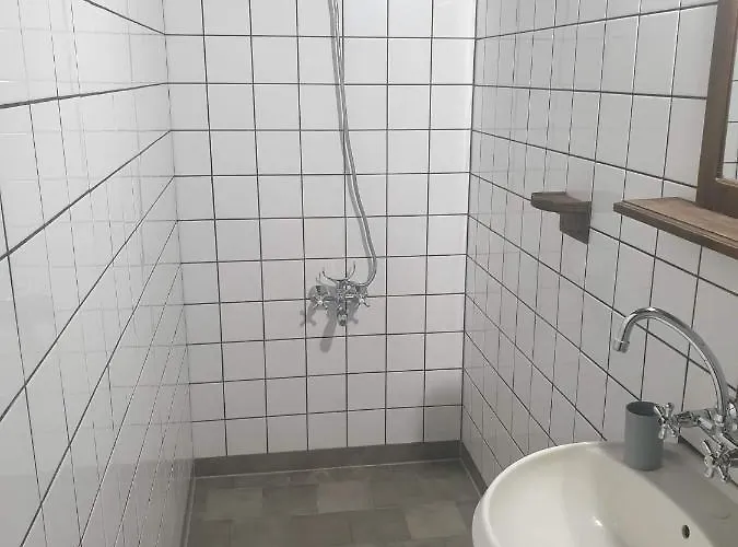 близнаците Leshten