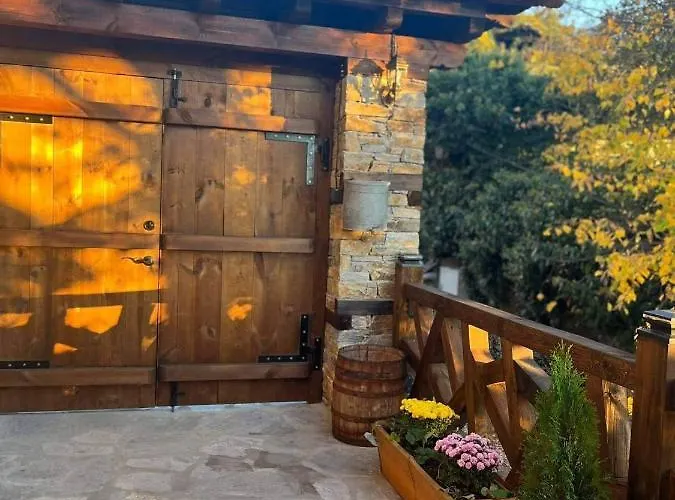 близнаците *