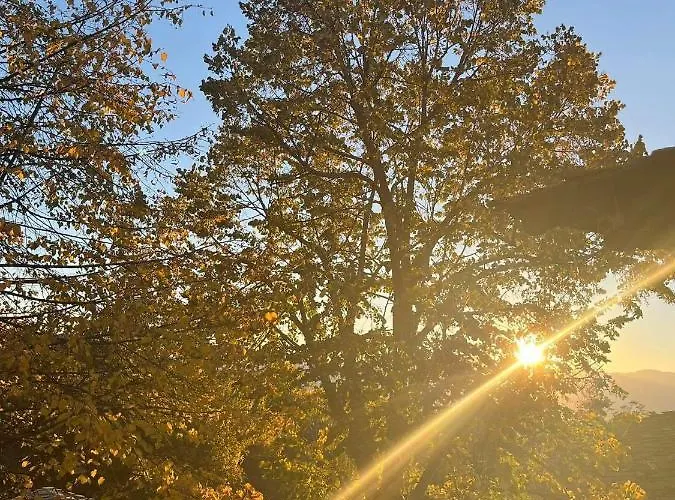 близнаците * Leshten