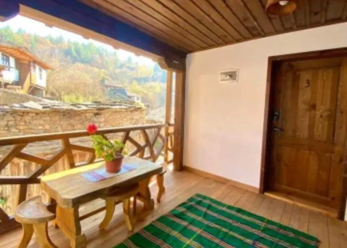 близнаците *