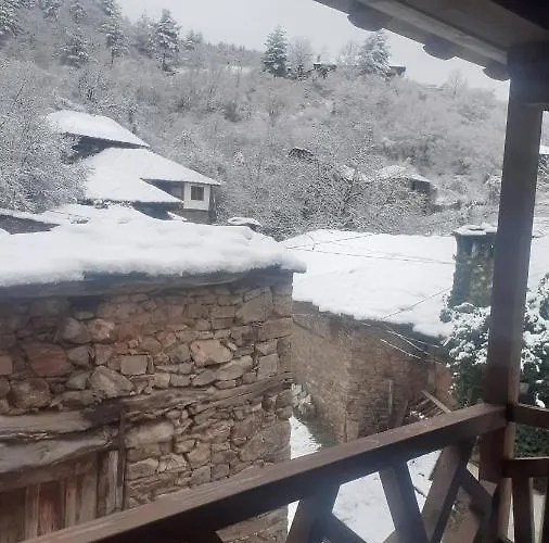 близнаците * Leshten