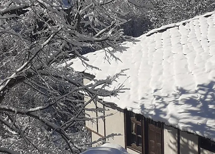 близнаците Leshten